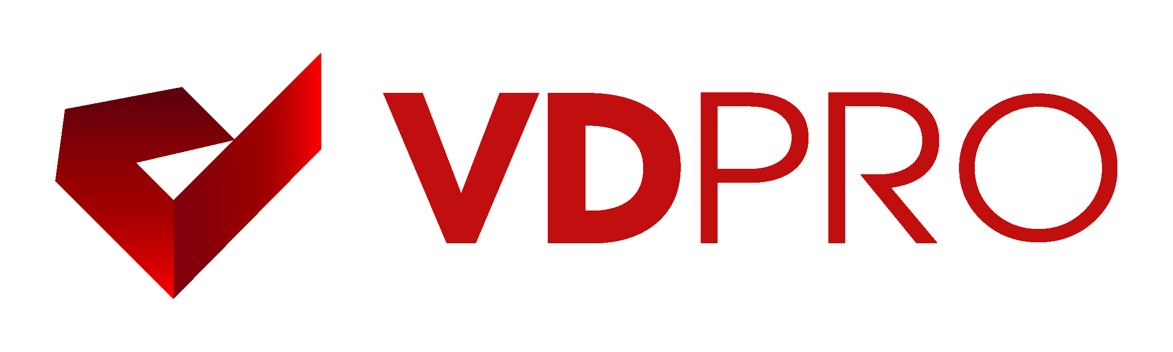 VD PRO LOGO 2026_PNG-03